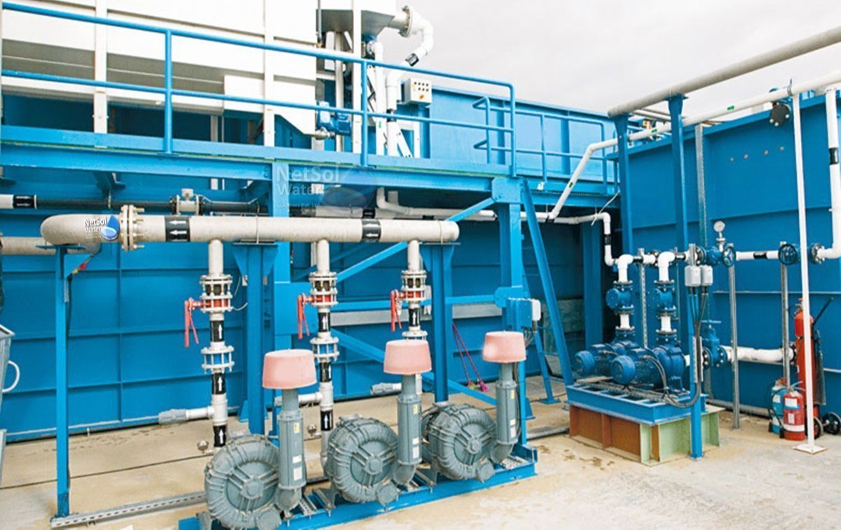 STP Plant